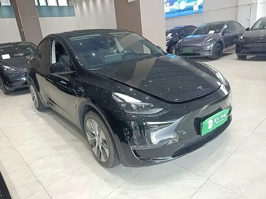 Tesla Model Y — фото 5