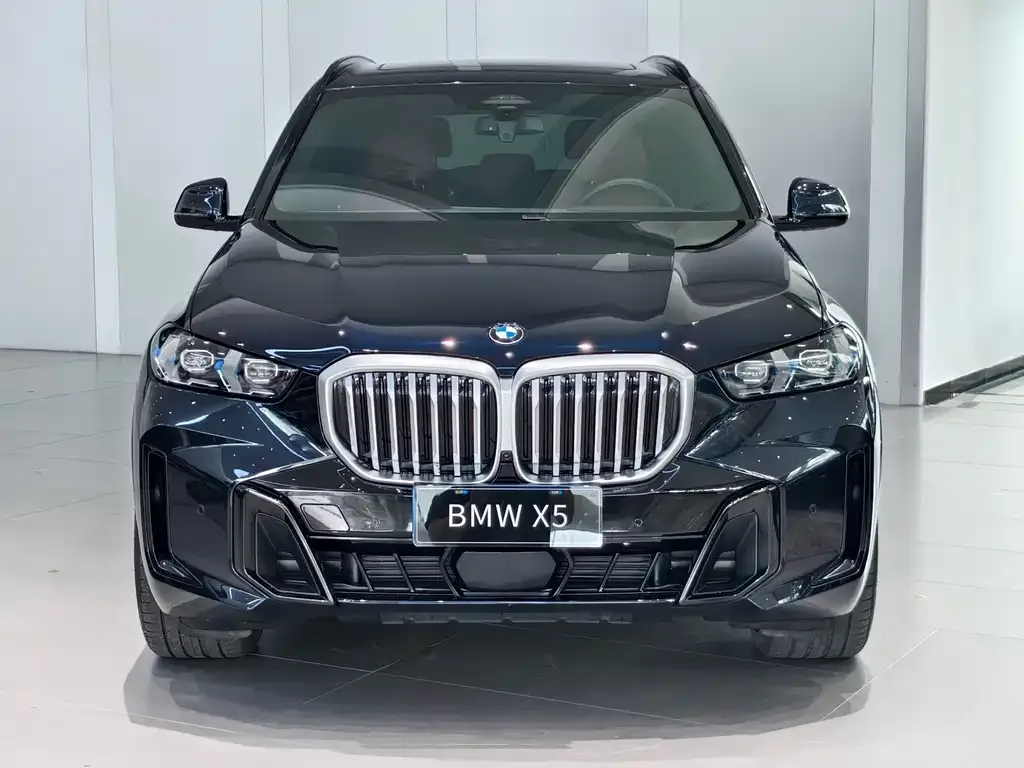 BMW X5 — фото 2