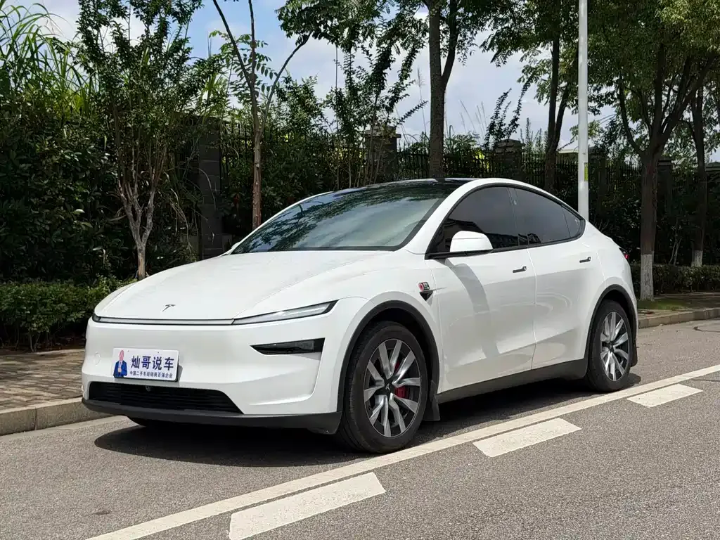 Tesla Model Y — фото 1
