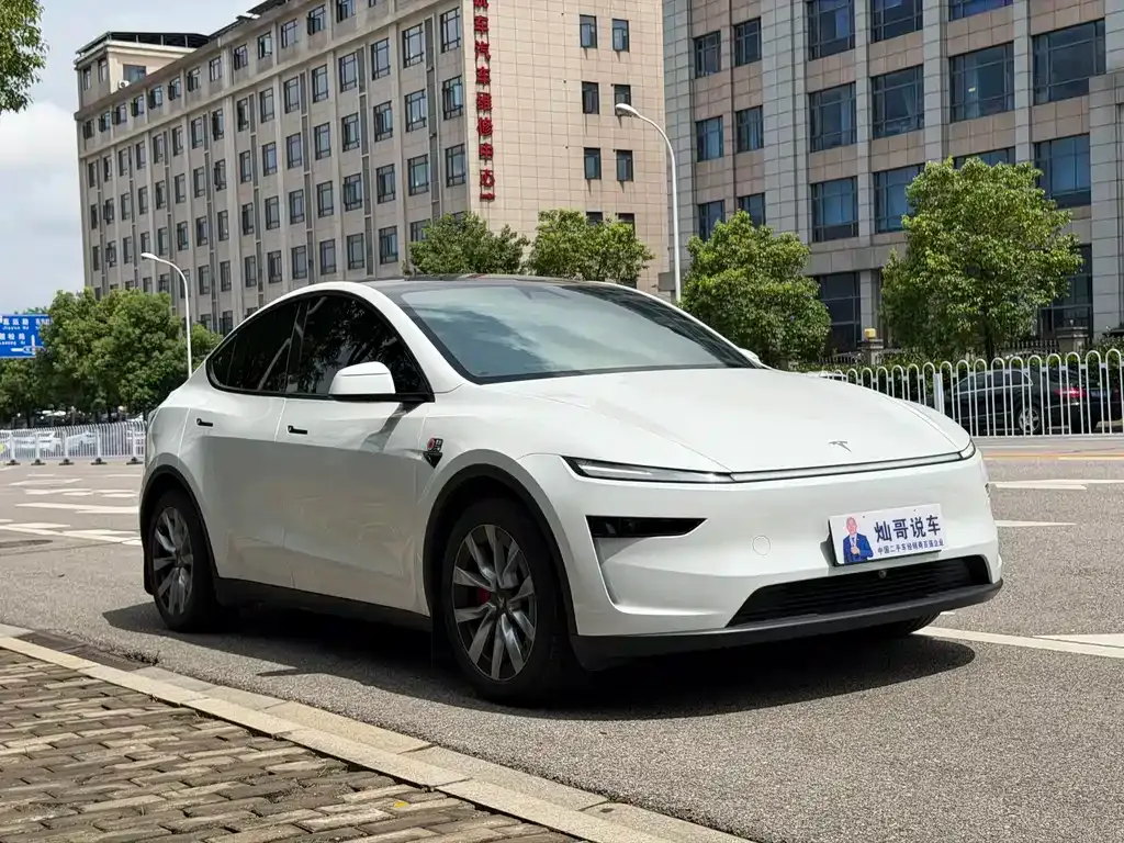 Tesla Model Y — фото 10