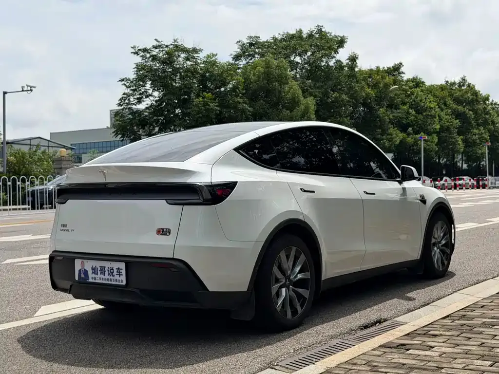 Tesla Model Y — фото 5