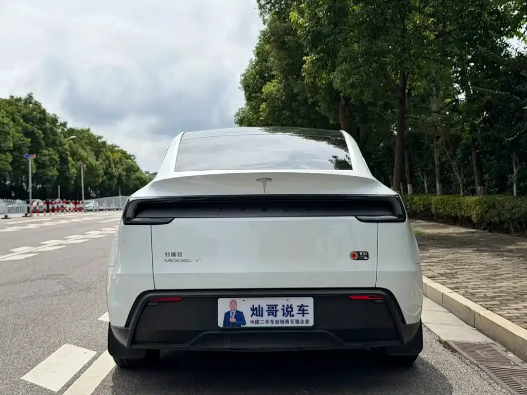 Tesla Model Y — фото 9