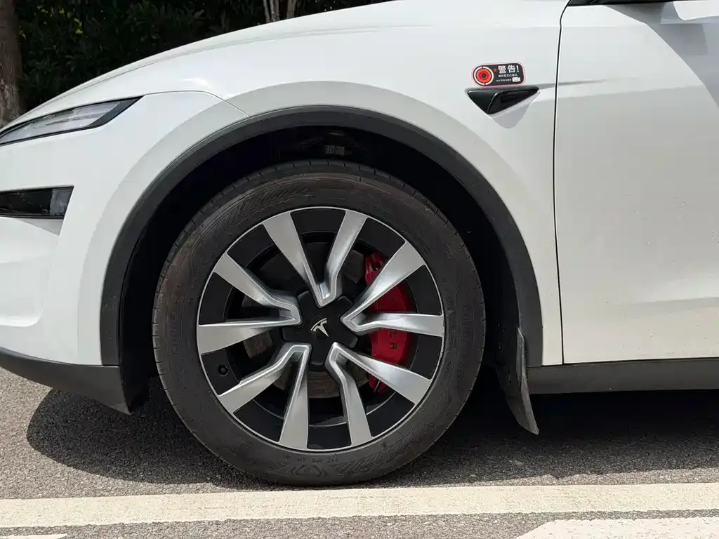 Tesla Model Y — фото 7
