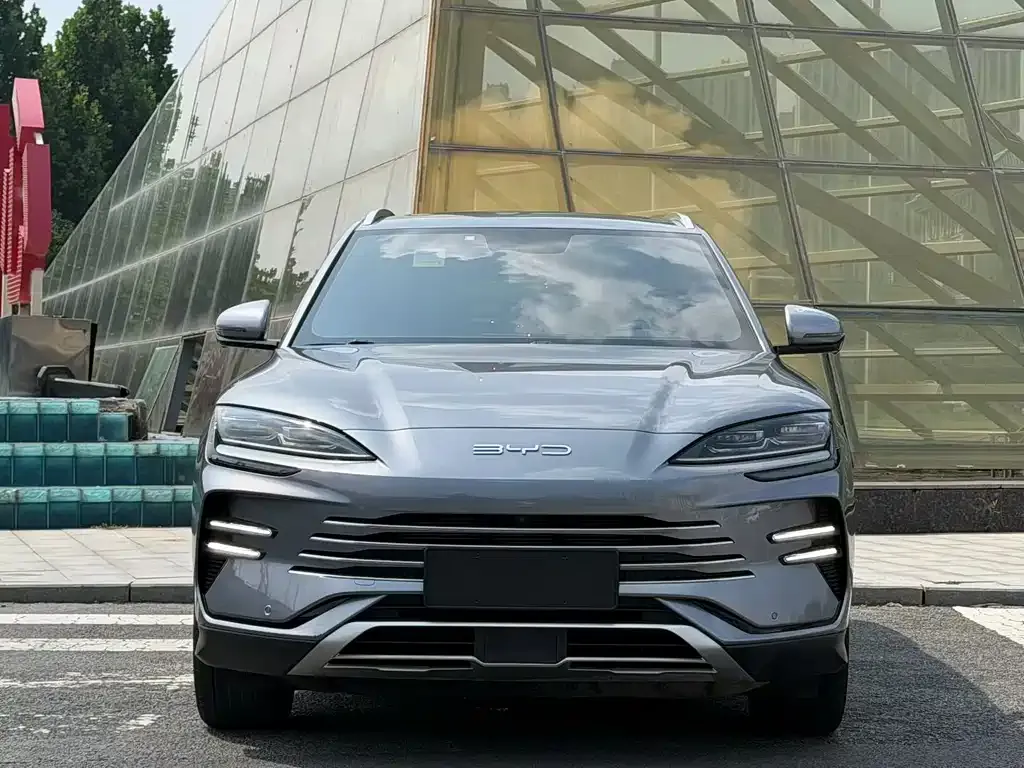 BYD PLUS New Energy — фото 4