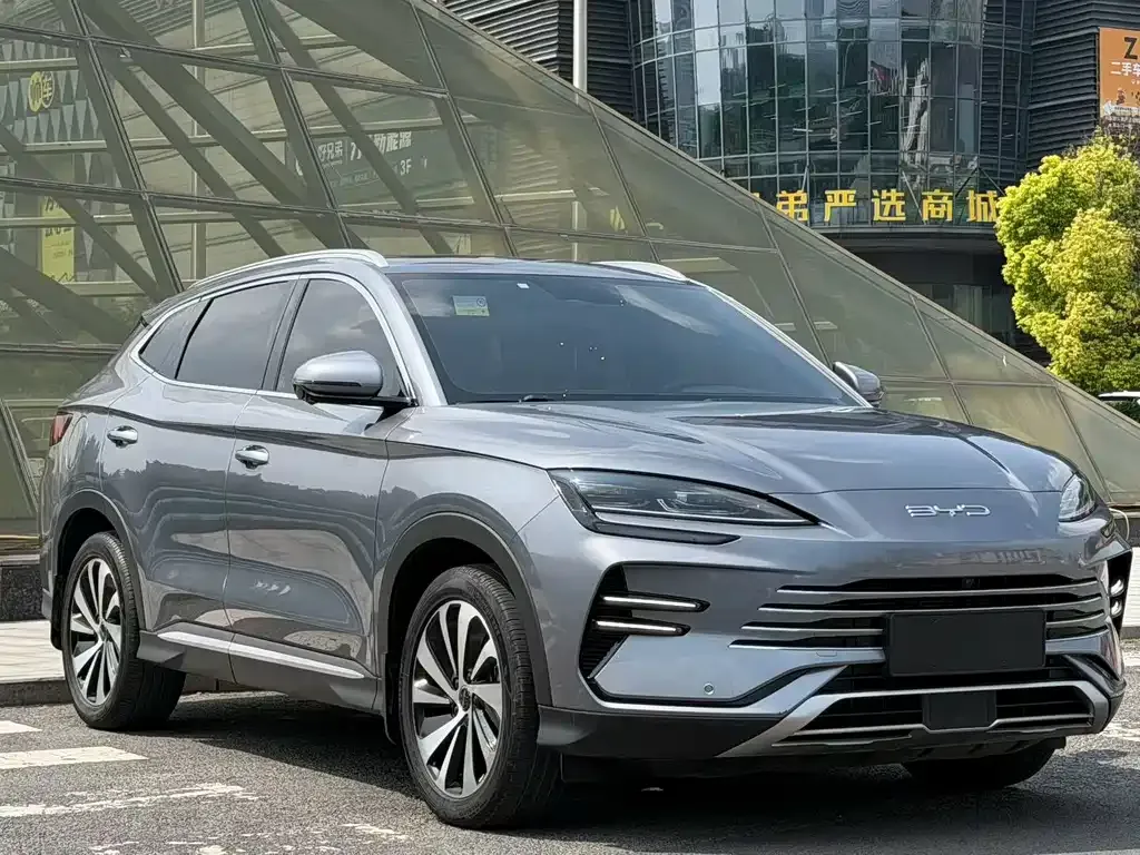 BYD PLUS New Energy — фото 8