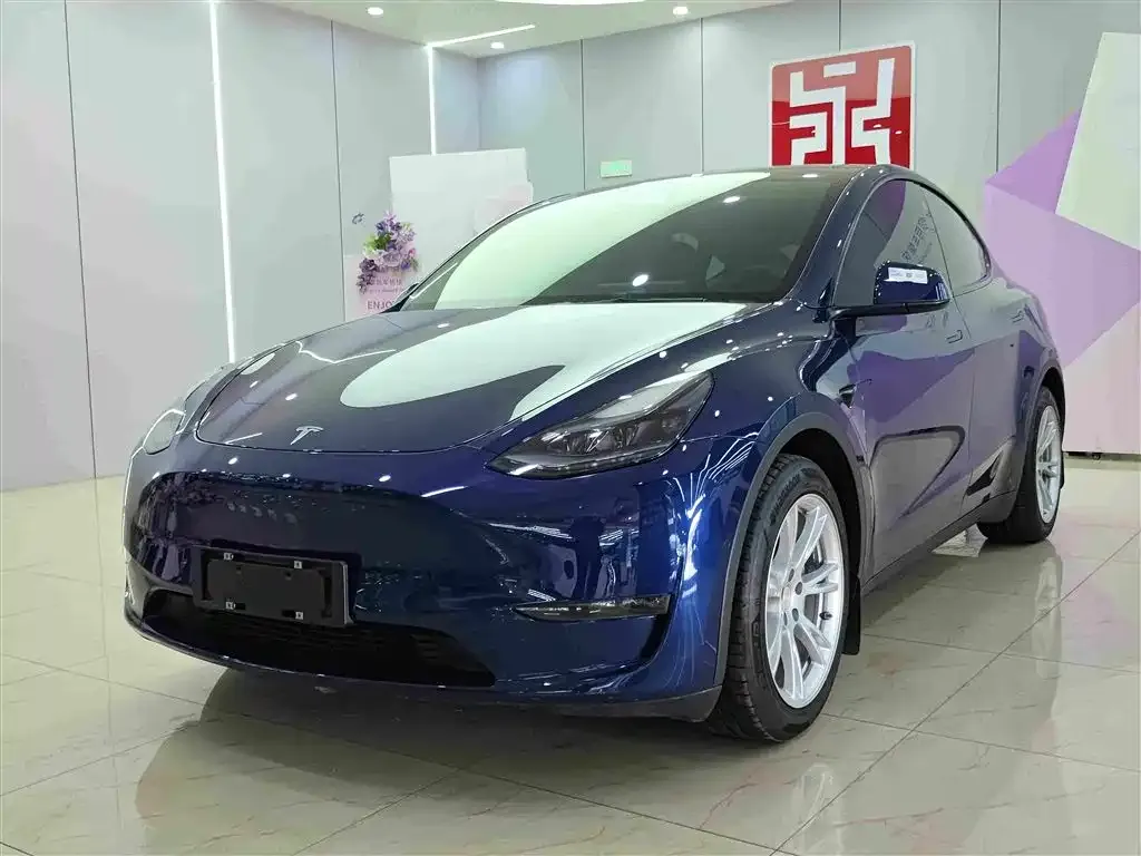Tesla Model Y — фото 1