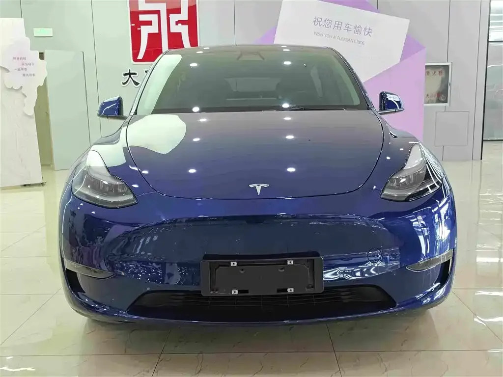 Tesla Model Y — фото 2
