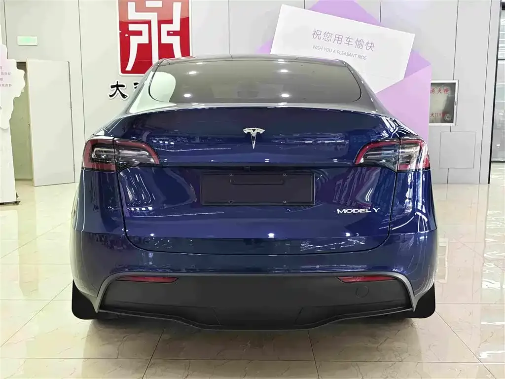 Tesla Model Y — фото 10
