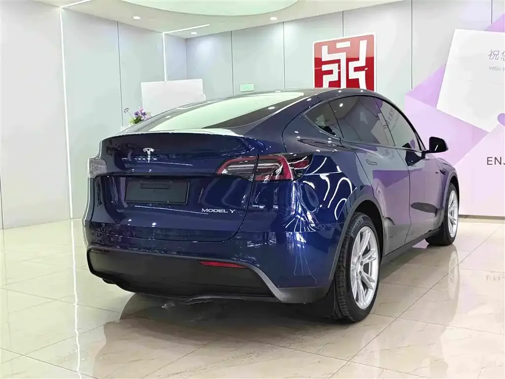 Tesla Model Y — фото 8