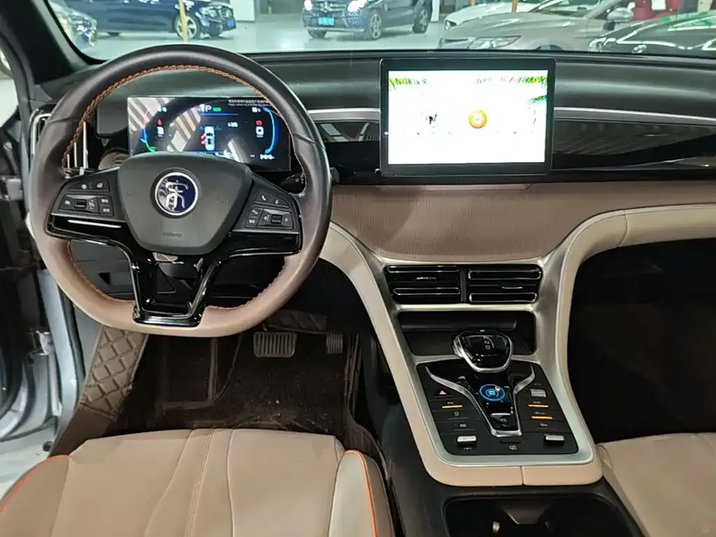 BYD Pro New Energy — фото 10