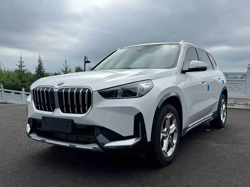 BMW X1 — фото 1