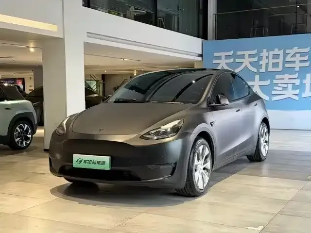 Tesla Model Y — фото 1