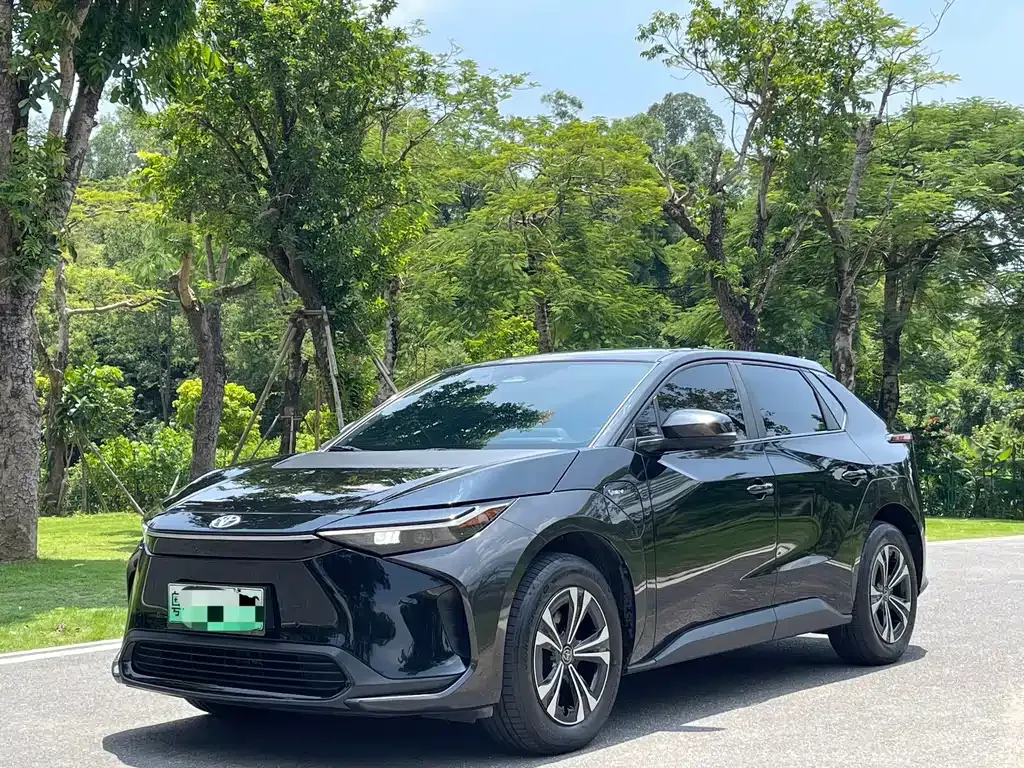 Toyota Platinum 4X — фото 1