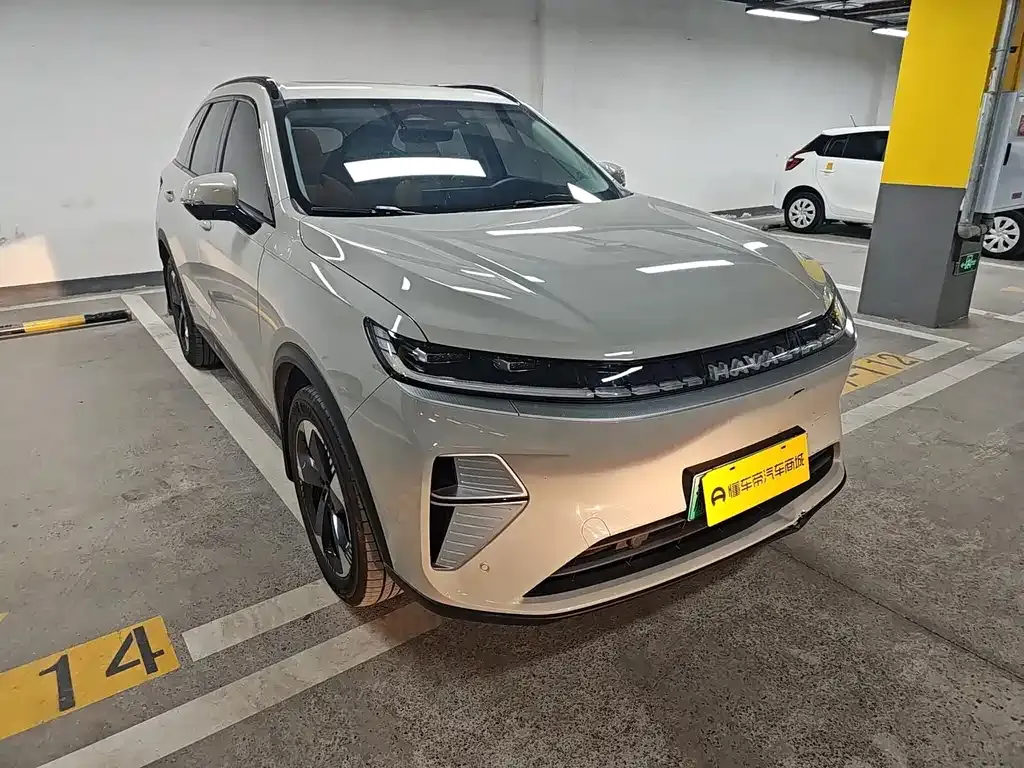 Haval Xiaolong MAX — фото 8