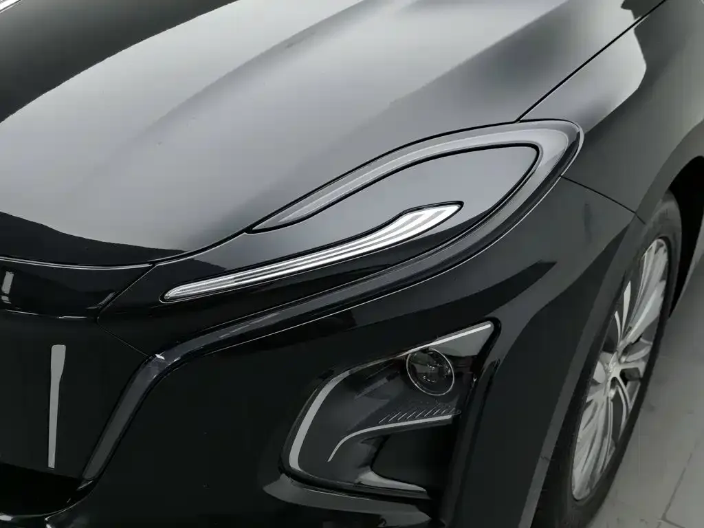 Hongqi E-QM5 — фото 4