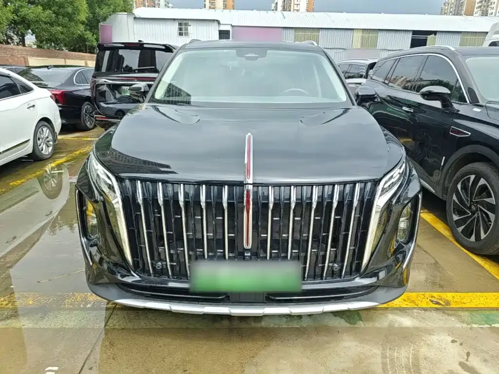 Hongqi HS7 PHEV — фото 8