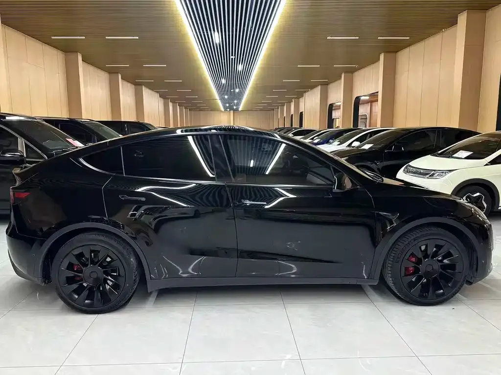 Tesla Model Y — фото 2