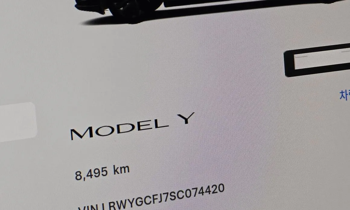 Tesla Model Y — фото 6