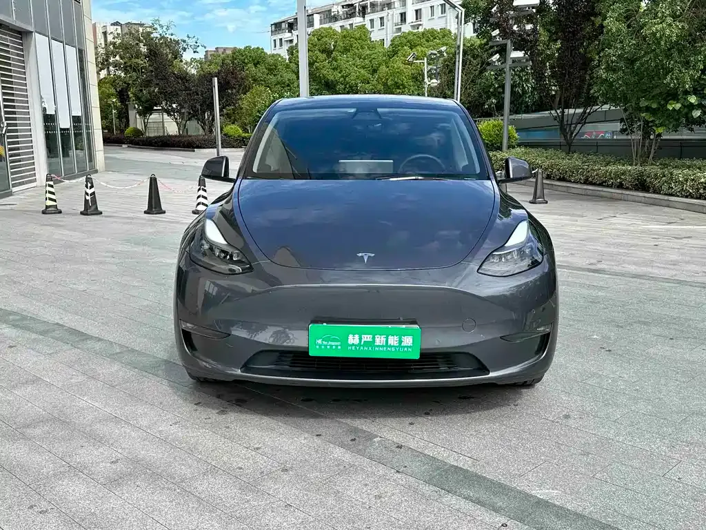 Tesla Model Y — фото 8