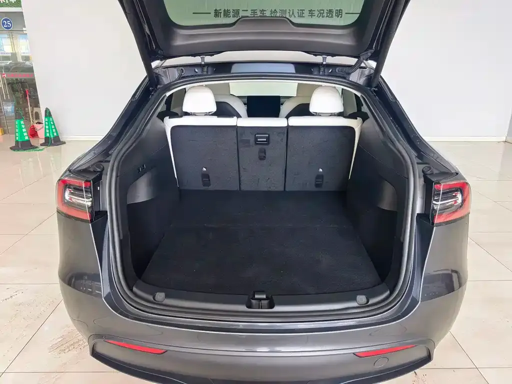Tesla Model Y — фото 10