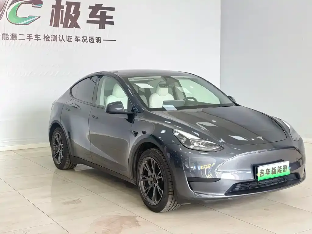 Tesla Model Y — фото 6