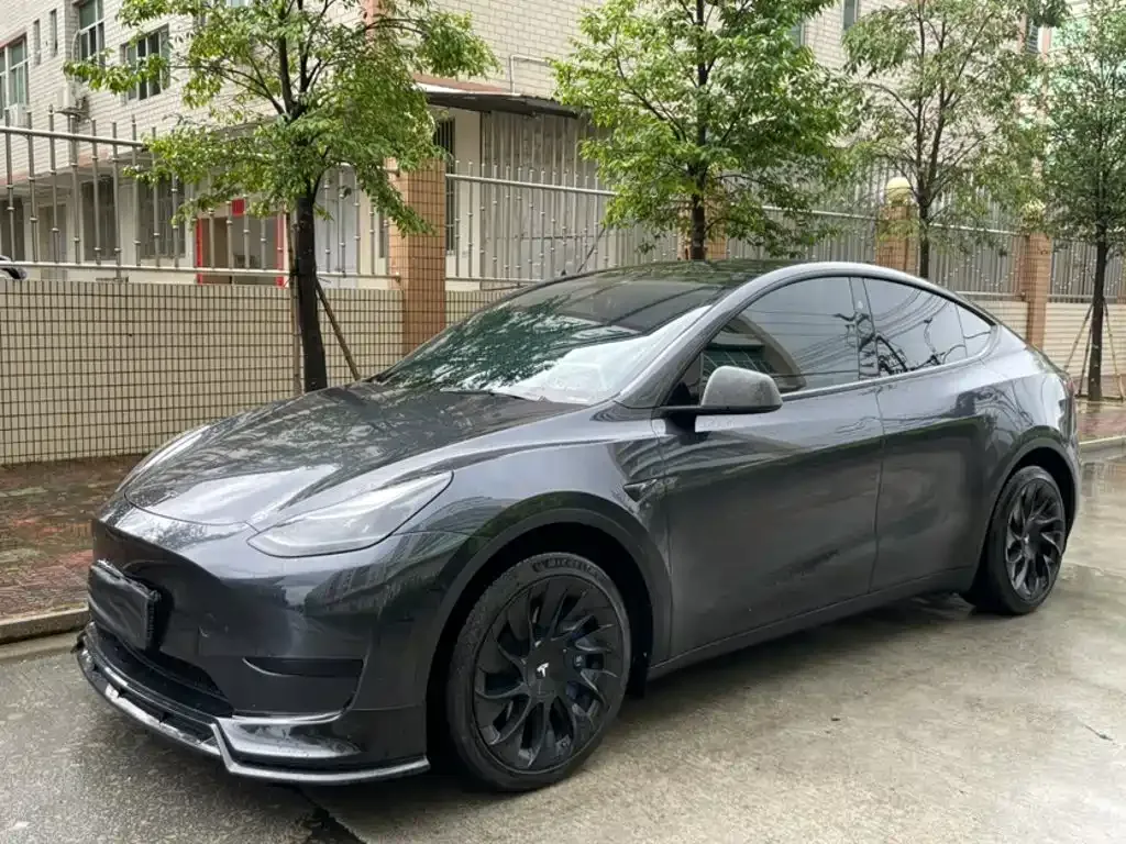 Tesla Model Y — фото 1