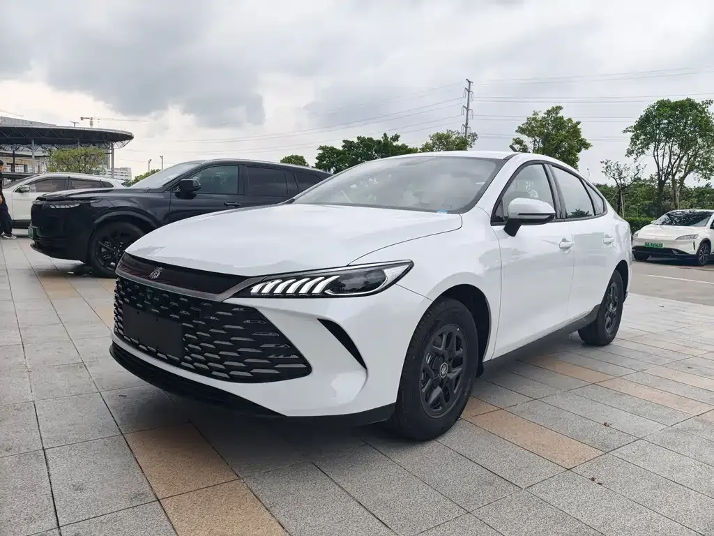 BYD Qin PLUS — фото 1