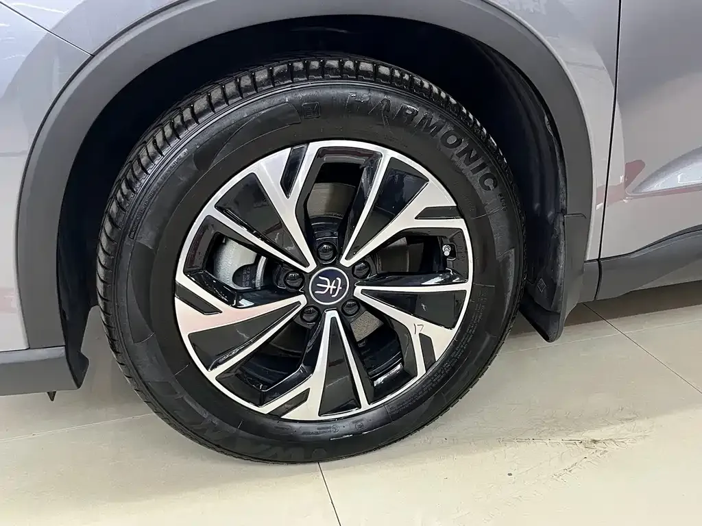 BYD Pro New Energy — фото 5