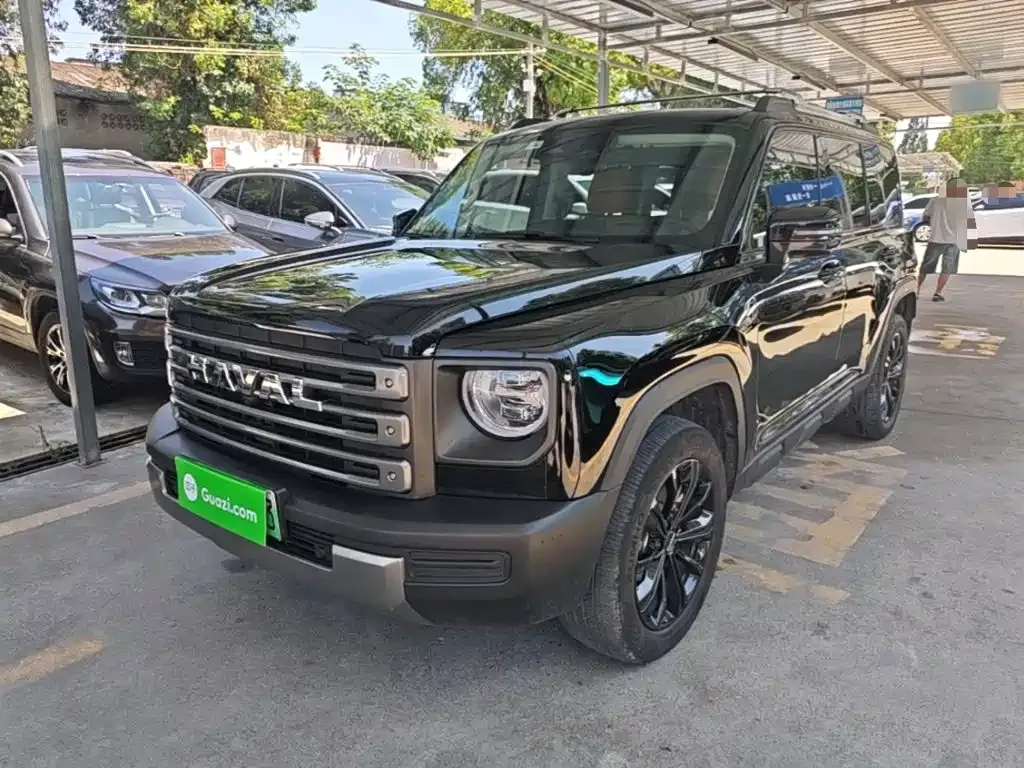 Haval Menglong New Energy — фото 1