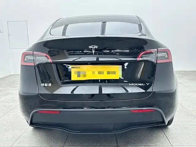 Tesla Model Y — фото 10
