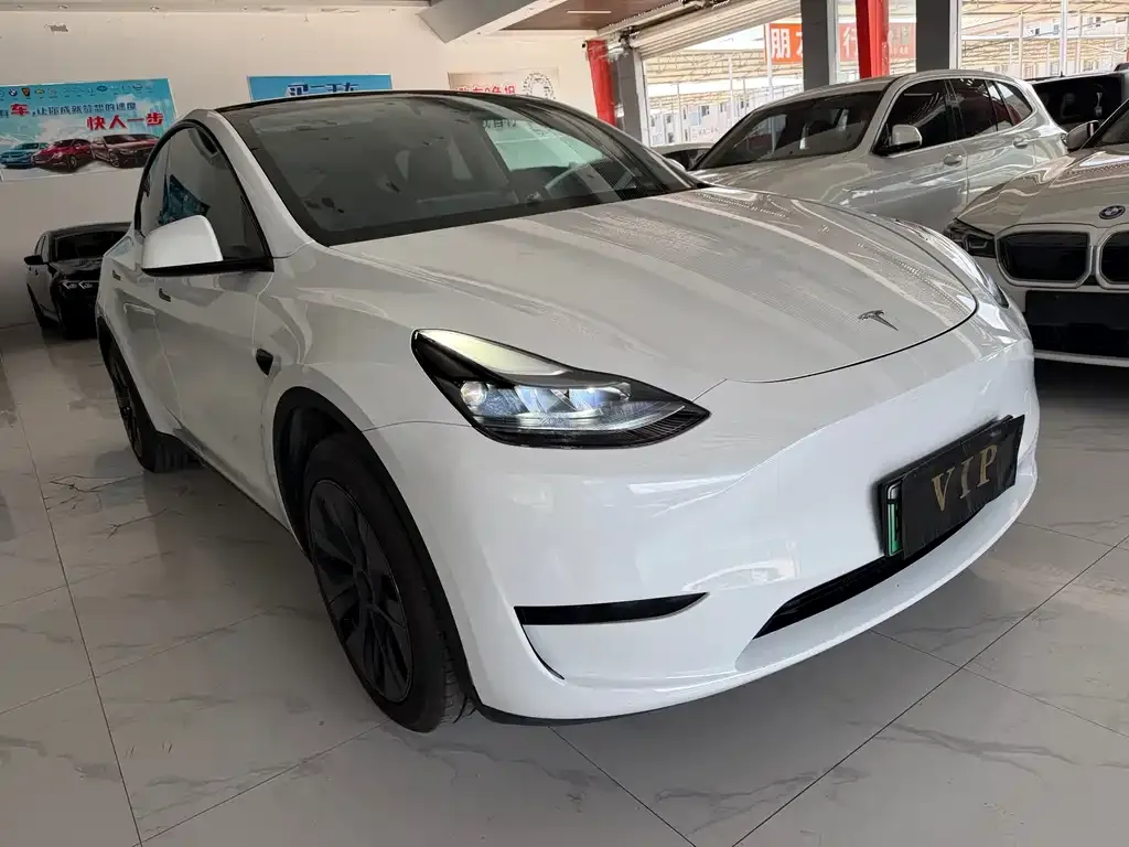 Tesla Model Y — фото 5