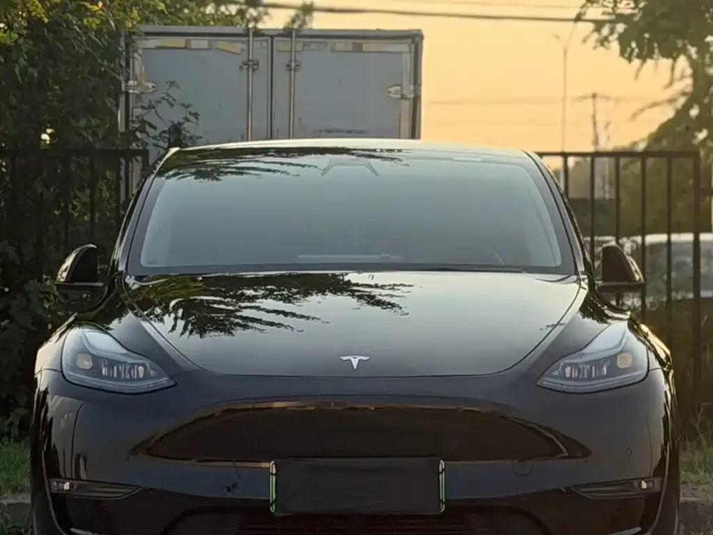 Tesla Model Y — фото 2