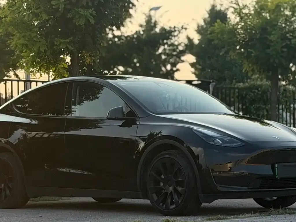 Tesla Model Y — фото 8