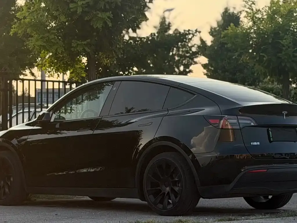 Tesla Model Y — фото 5