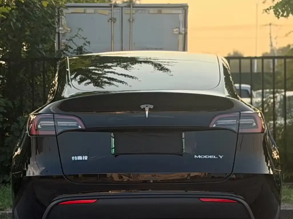 Tesla Model Y — фото 6