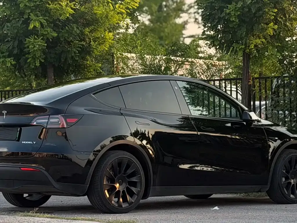 Tesla Model Y — фото 9
