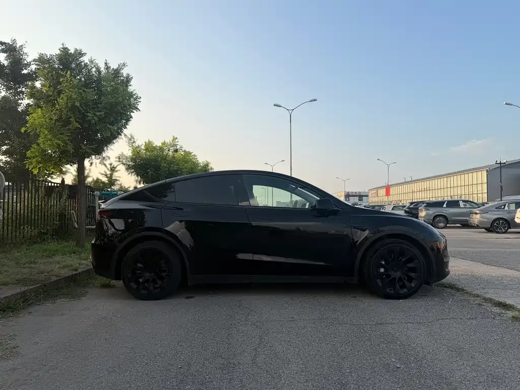 Tesla Model Y — фото 10