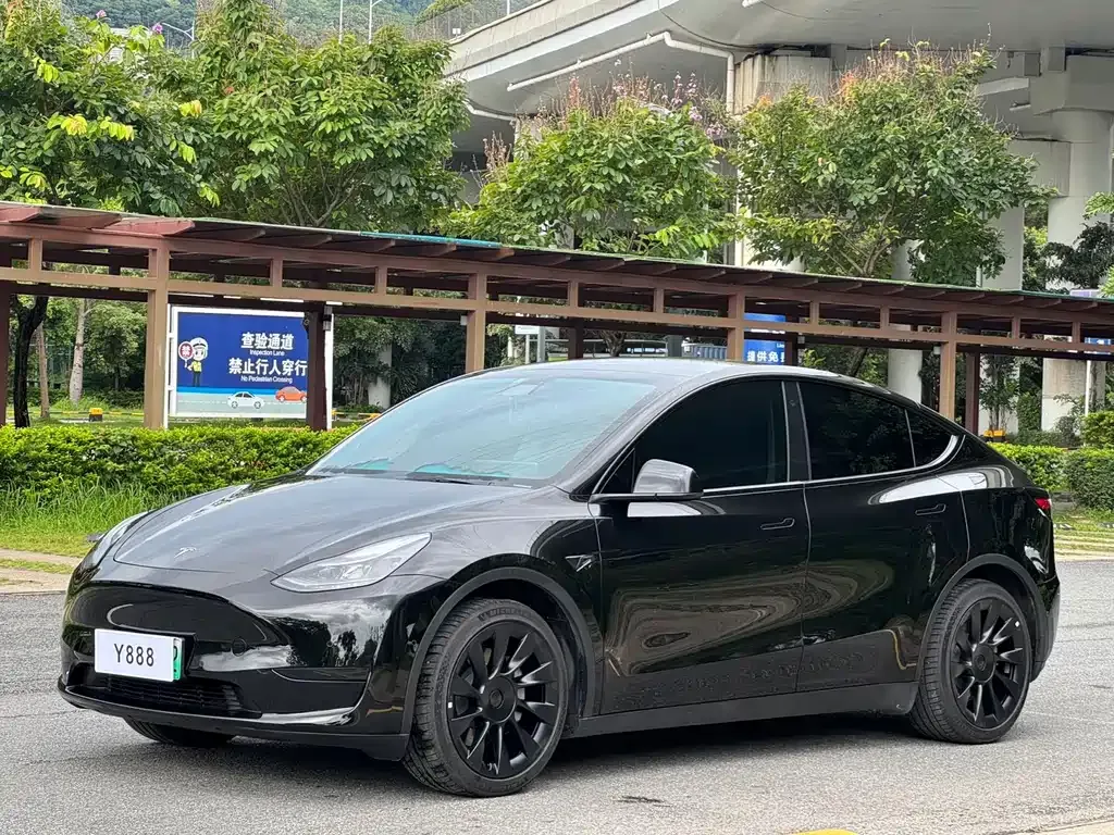 Tesla Model Y — фото 1