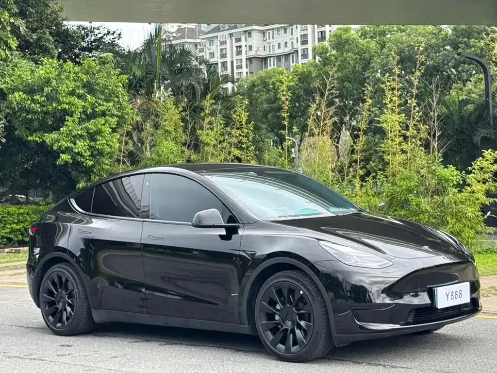 Tesla Model Y — фото 10