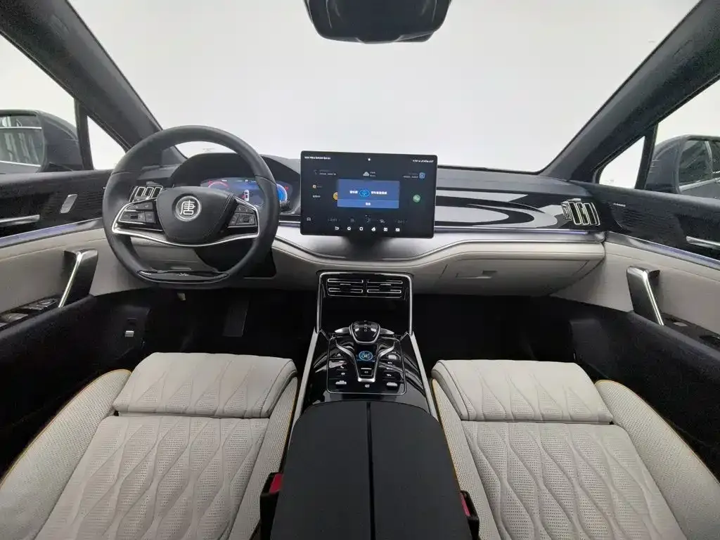 BYD Tang New Energy — фото 10