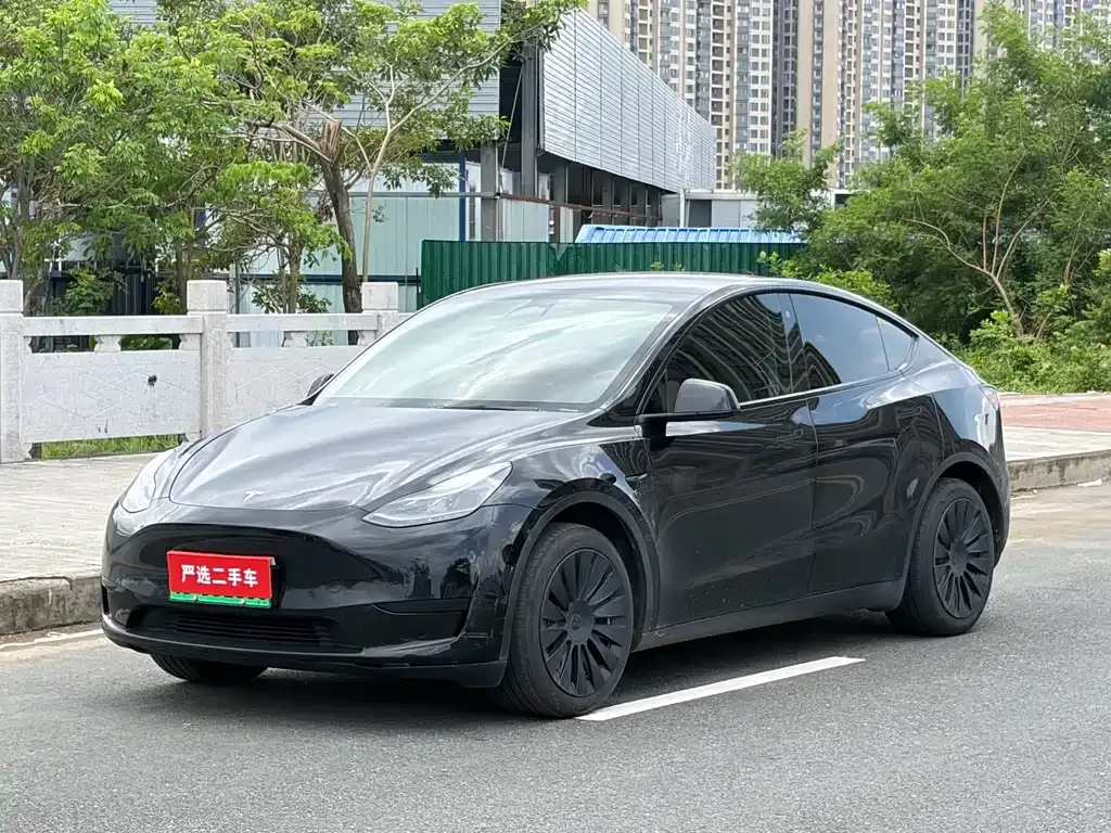 Tesla Model Y — фото 1