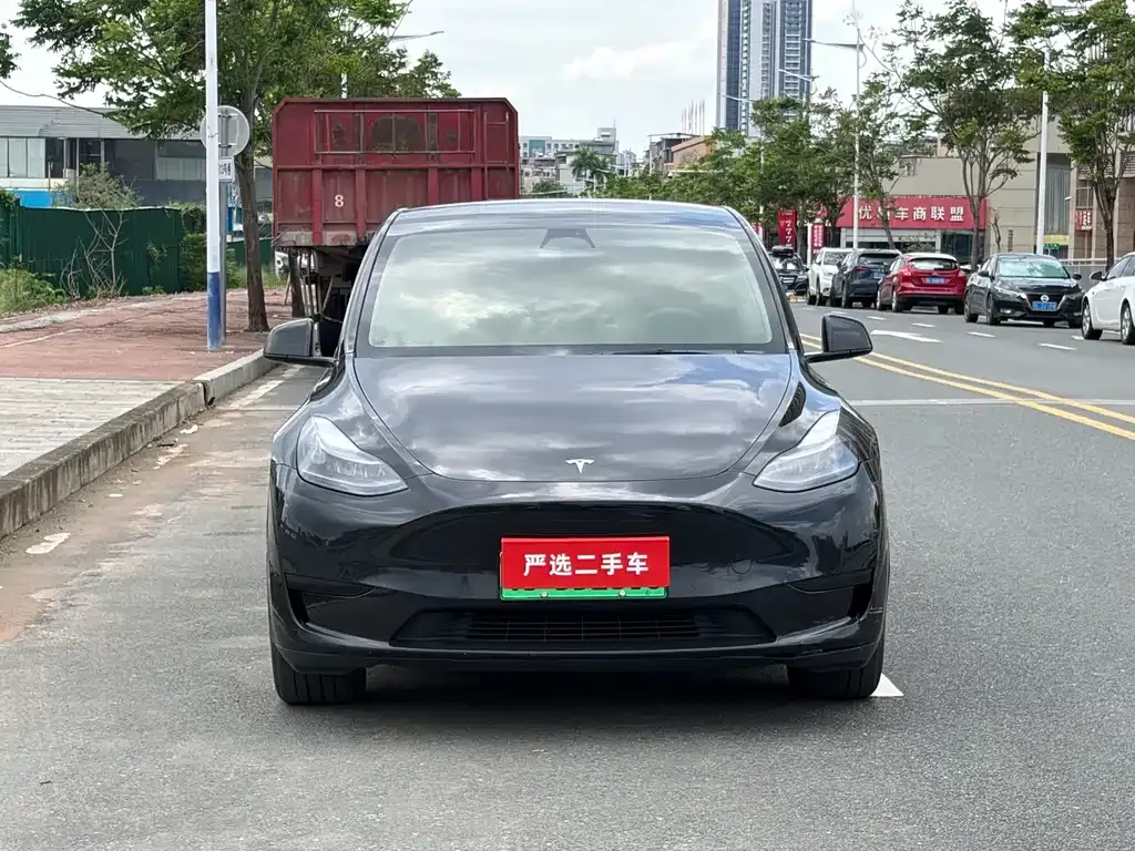 Tesla Model Y — фото 9
