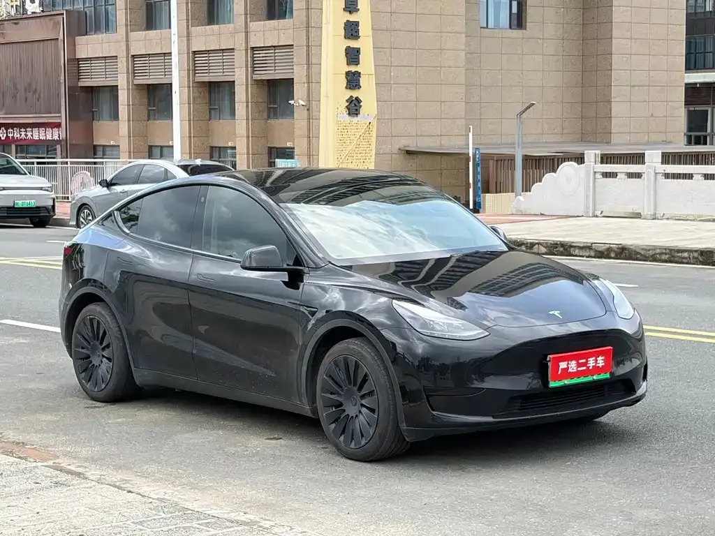 Tesla Model Y — фото 6