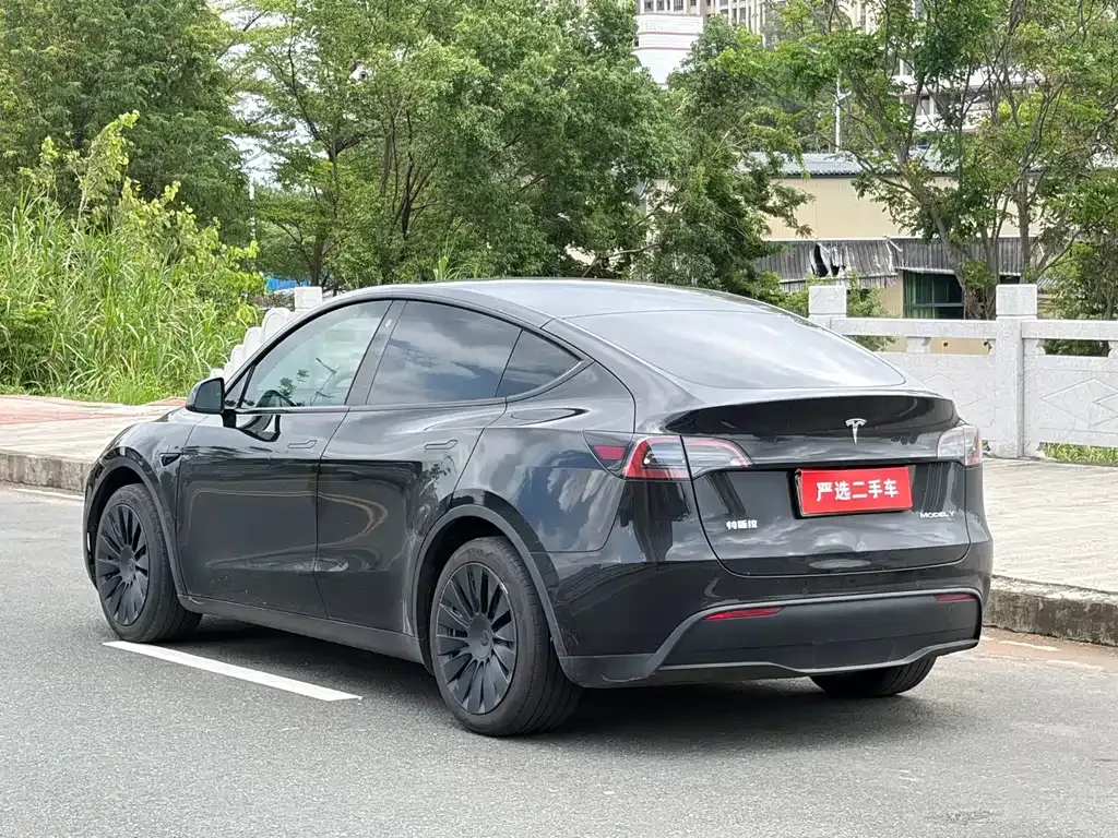 Tesla Model Y — фото 8