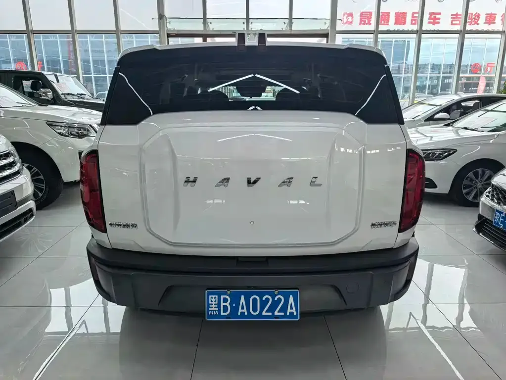 Haval Cool Dog — фото 4