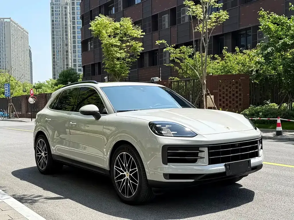 Porsche Cayenne — фото 8