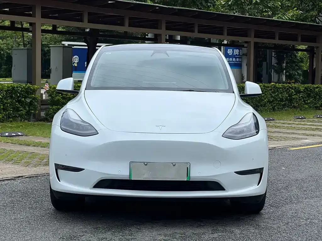 Tesla Model Y — фото 1