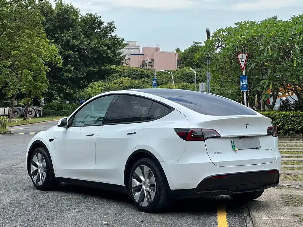 Tesla Model Y — фото 9