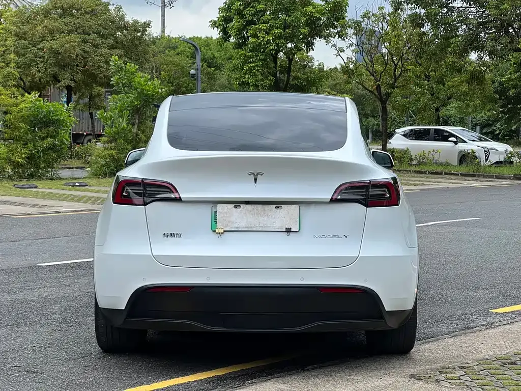 Tesla Model Y — фото 5