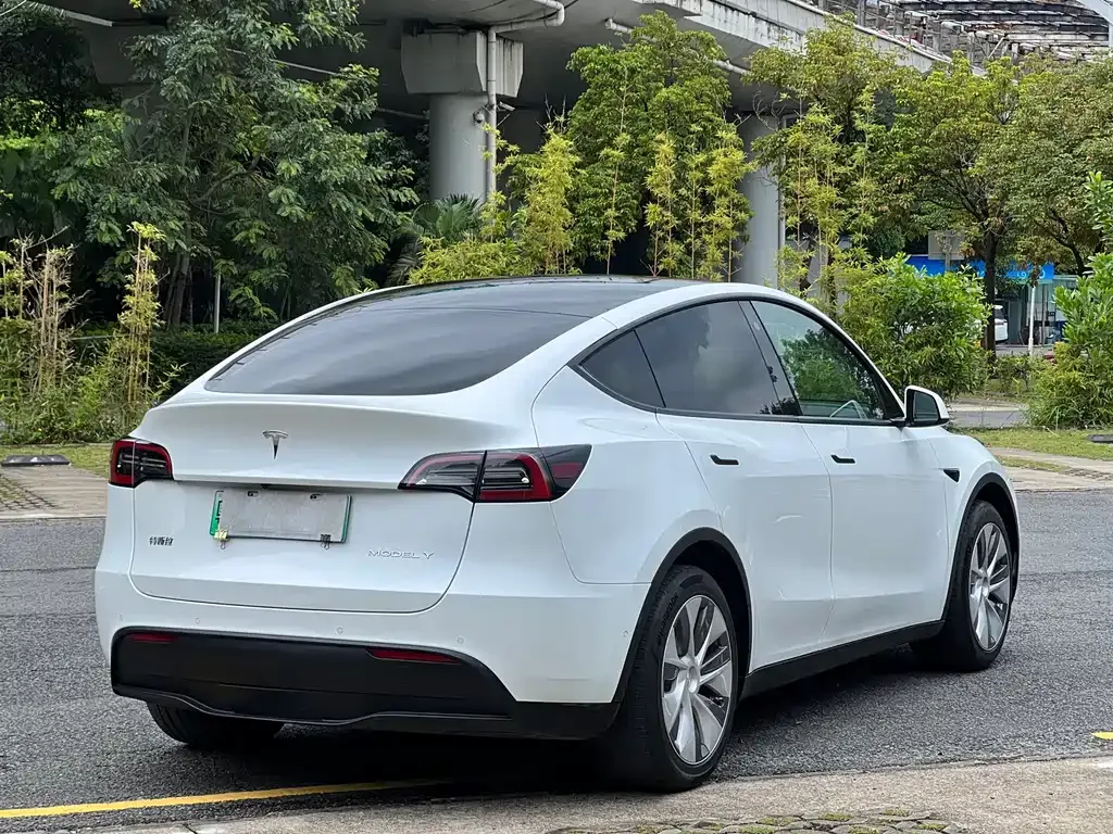 Tesla Model Y — фото 10